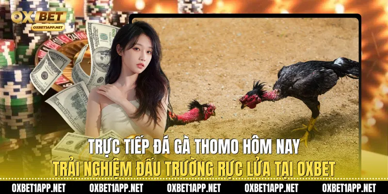 Trực tiếp đá gà Thomo Hôm Nay